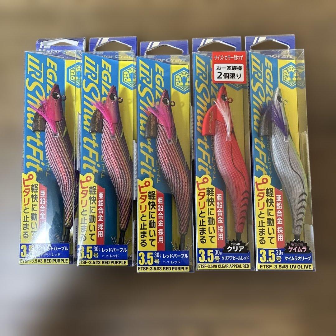 ていさん専用　エギゾースマートフィット10本セット