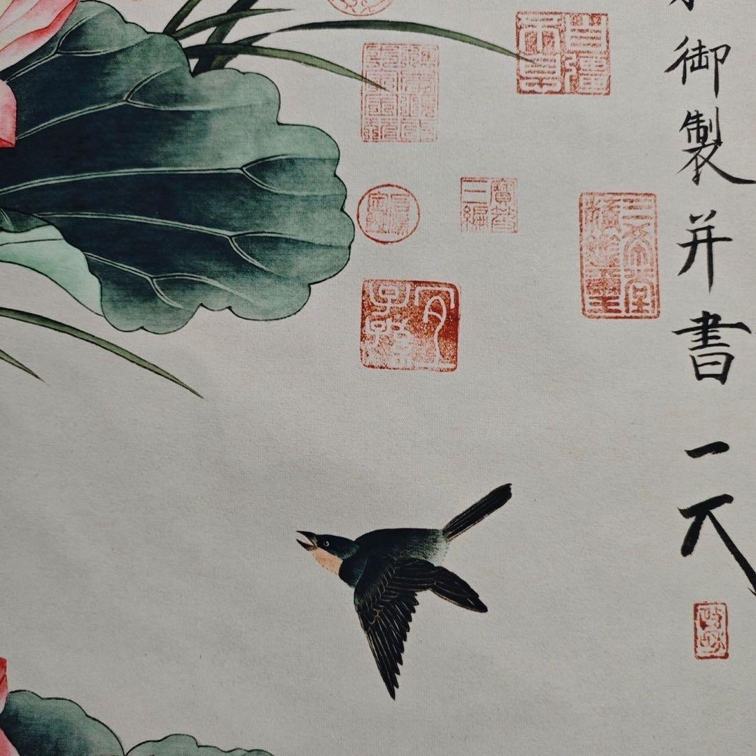 四尺中堂 中国伝統 花鳥画 荷花双鴛 掛け軸 蓮・鴛鴦図