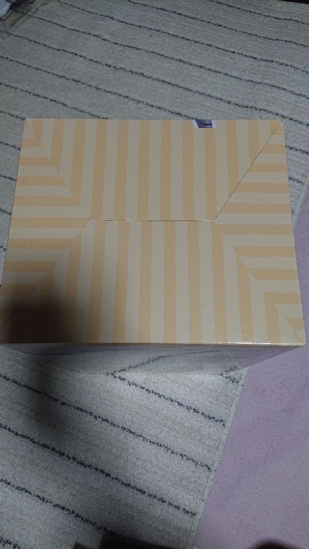 小林さんちのメイドラゴンS トール ネコドラゴンVer.