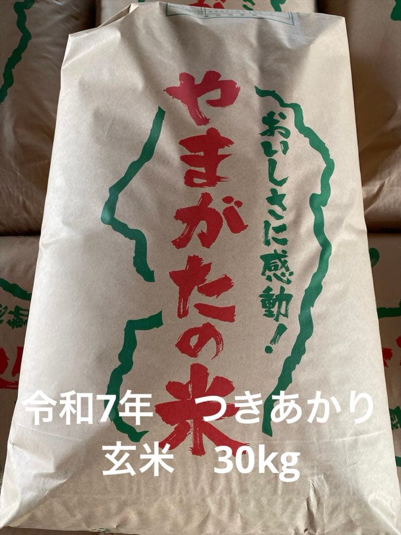 令和7年　つきあかり　玄米　30kg