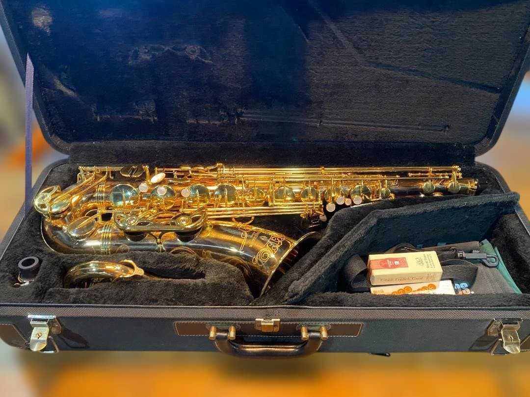 テナーサックス ヤナギサワ Yanagisawa T-WO20（ブロンズ）