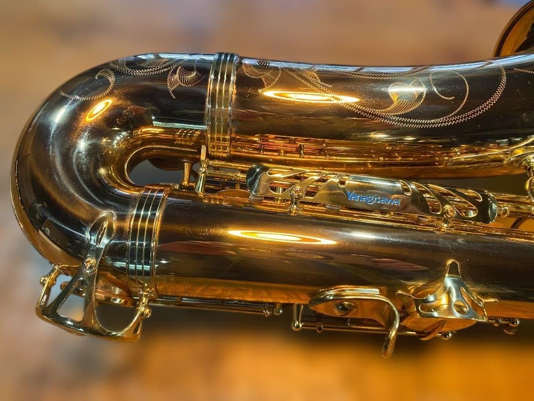 テナーサックス ヤナギサワ Yanagisawa T-WO20（ブロンズ）