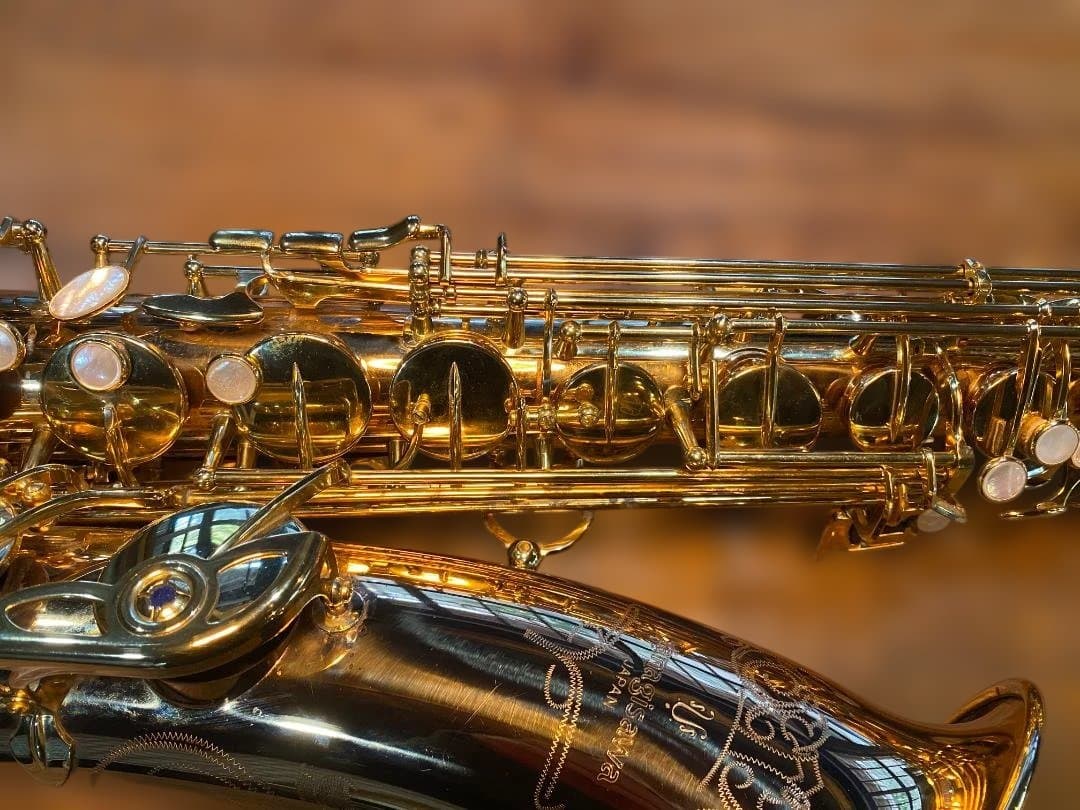 テナーサックス ヤナギサワ Yanagisawa T-WO20（ブロンズ）