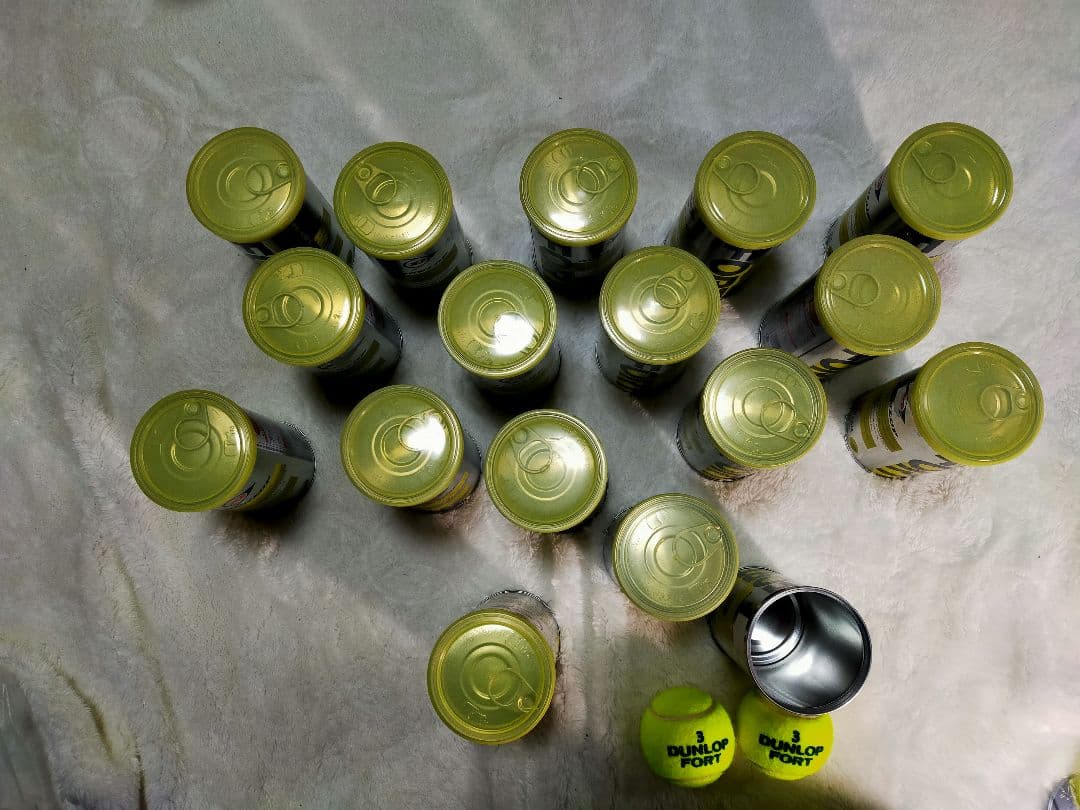 ダンロップフォート 未開封 16缶 開封1缶 計17缶セット