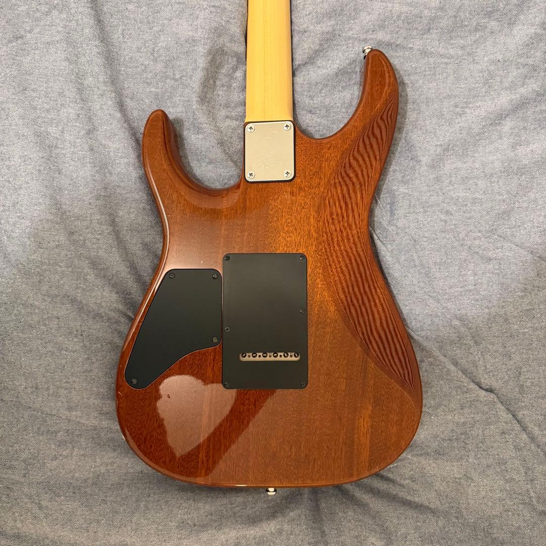 ギター T's guitars DST-DX24