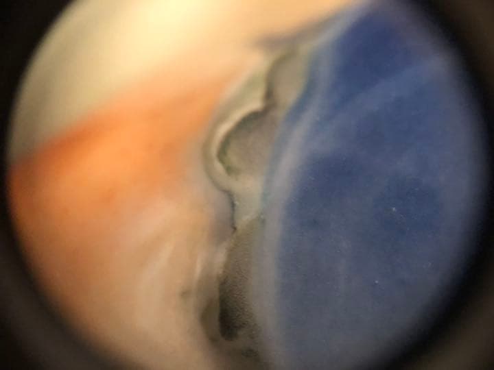 加藤友太郎　釉下彩　友玉園陶寿製　柿木に鴉　花瓶