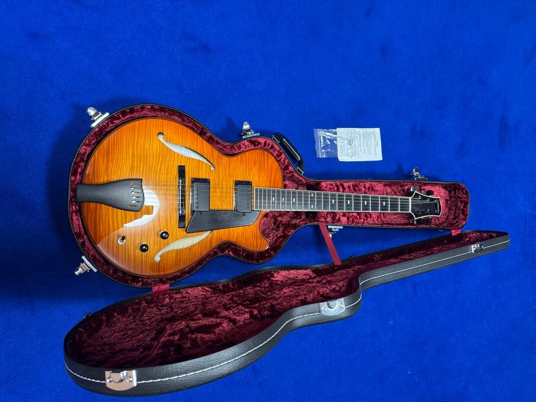 Sadowsky LS-15 フルアコ サドウスキー・ギター