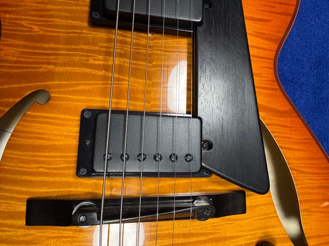 Sadowsky LS-15 フルアコ サドウスキー・ギター