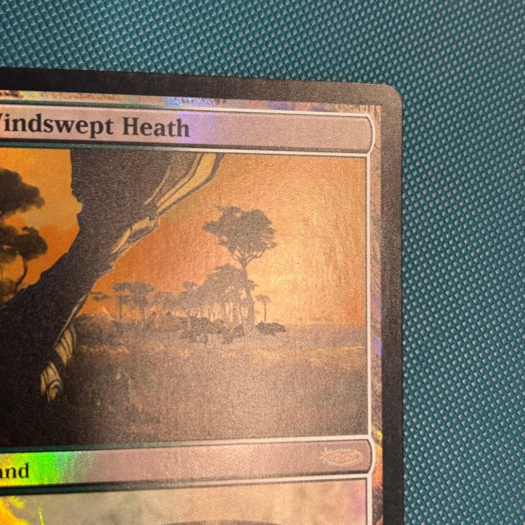 【ジャッジFoil】《吹きさらしの荒野/Windswept Heath》英語