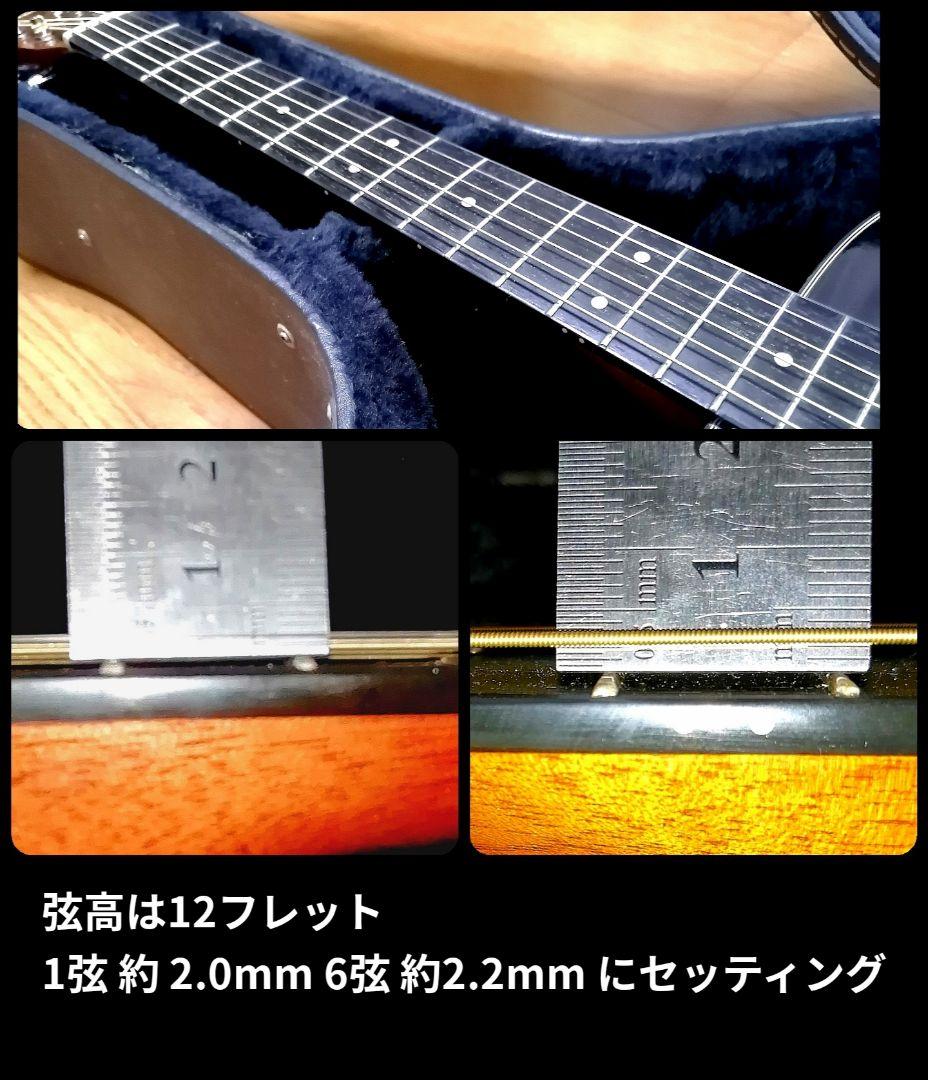 ★限定特価★コンパクトで弾きやすい★MORRIS F12-TS★トップ単板♪