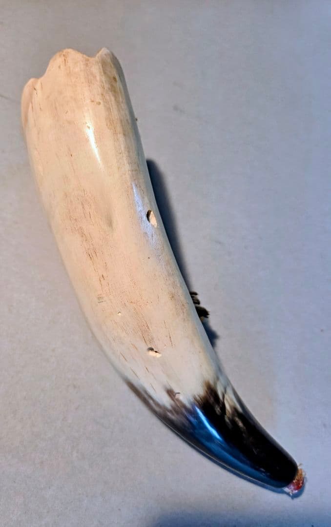 アンティーク 骨製装飾品