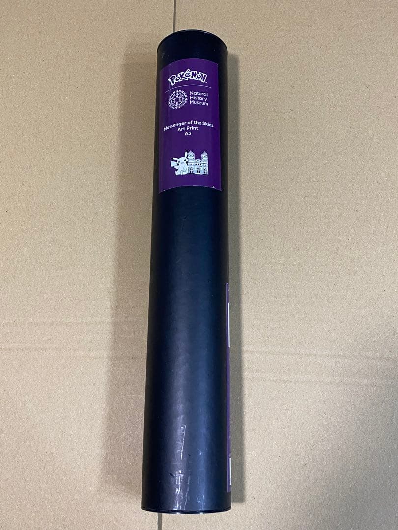 ポケモン ロンドン自然史博物館　ピカチュウA3 ポスター　A