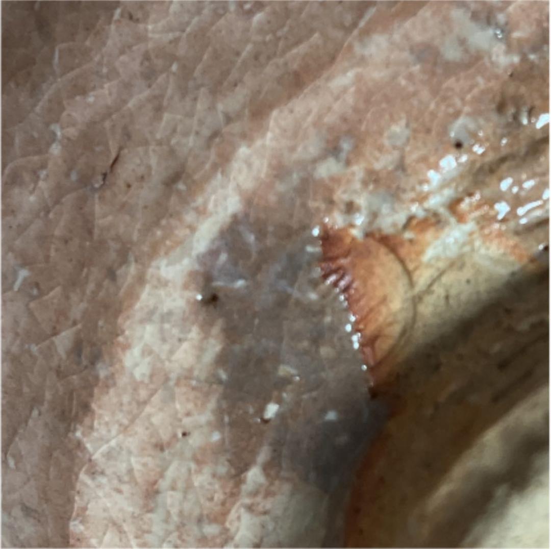 萩焼井戸茶碗　中村ニ夫造　茶道具