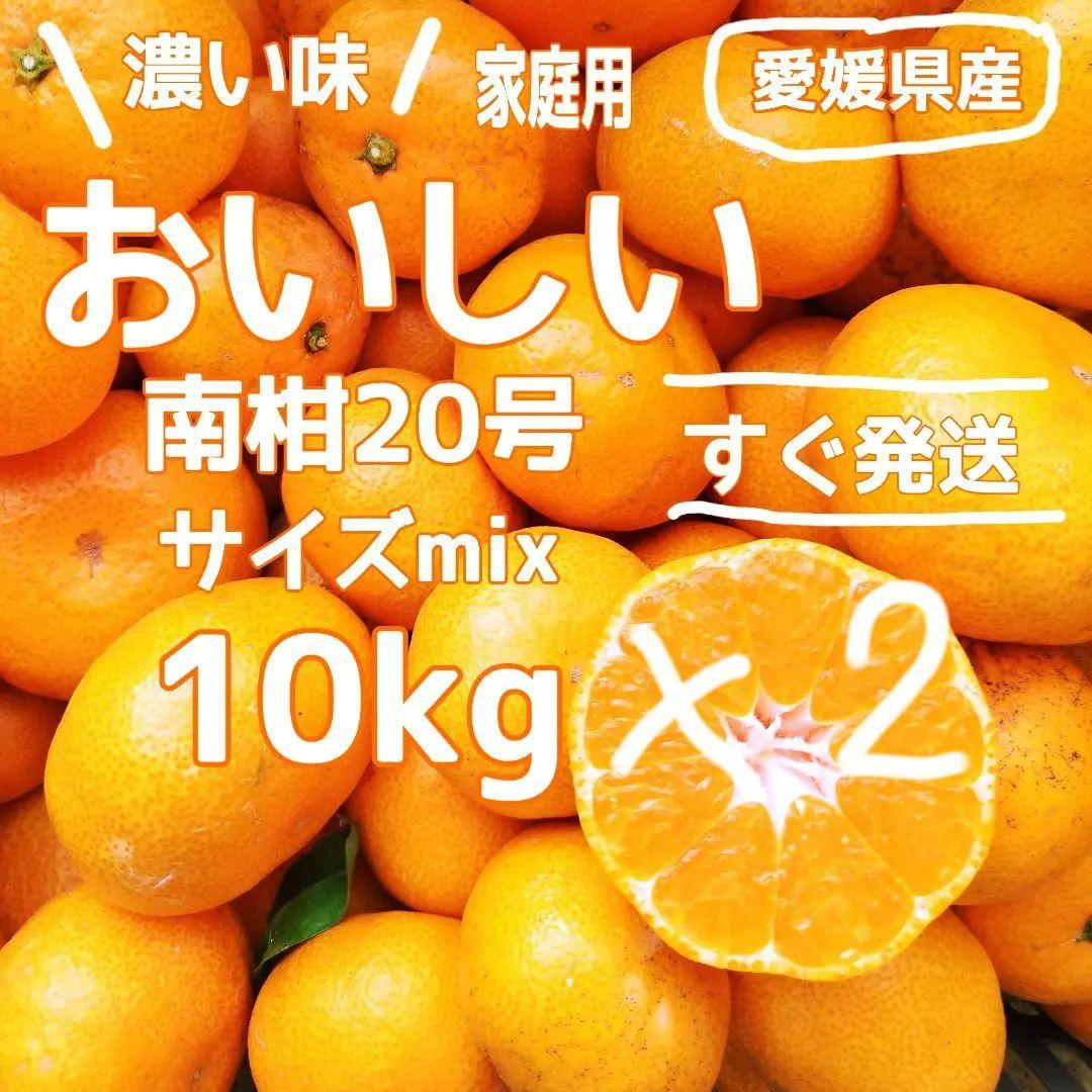 4　おいしい愛媛県産 南柑20号 10kg×2