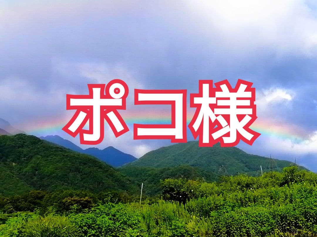 ポコ様　あっま～い　とろっと枯露柿(大ぶり)　大和百目　干し柿・あんぽ柿　3kg