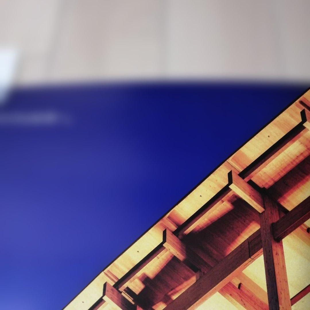 く*た様 EXPO 2025 大阪 関西 万博 ポスター B1サイズ　大屋根リン