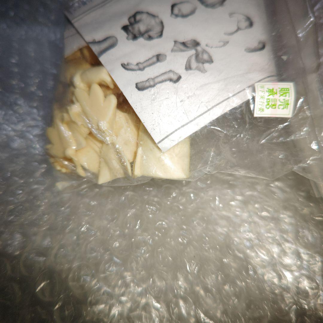 ぽぽたん　みい　ガレージキット　未組立