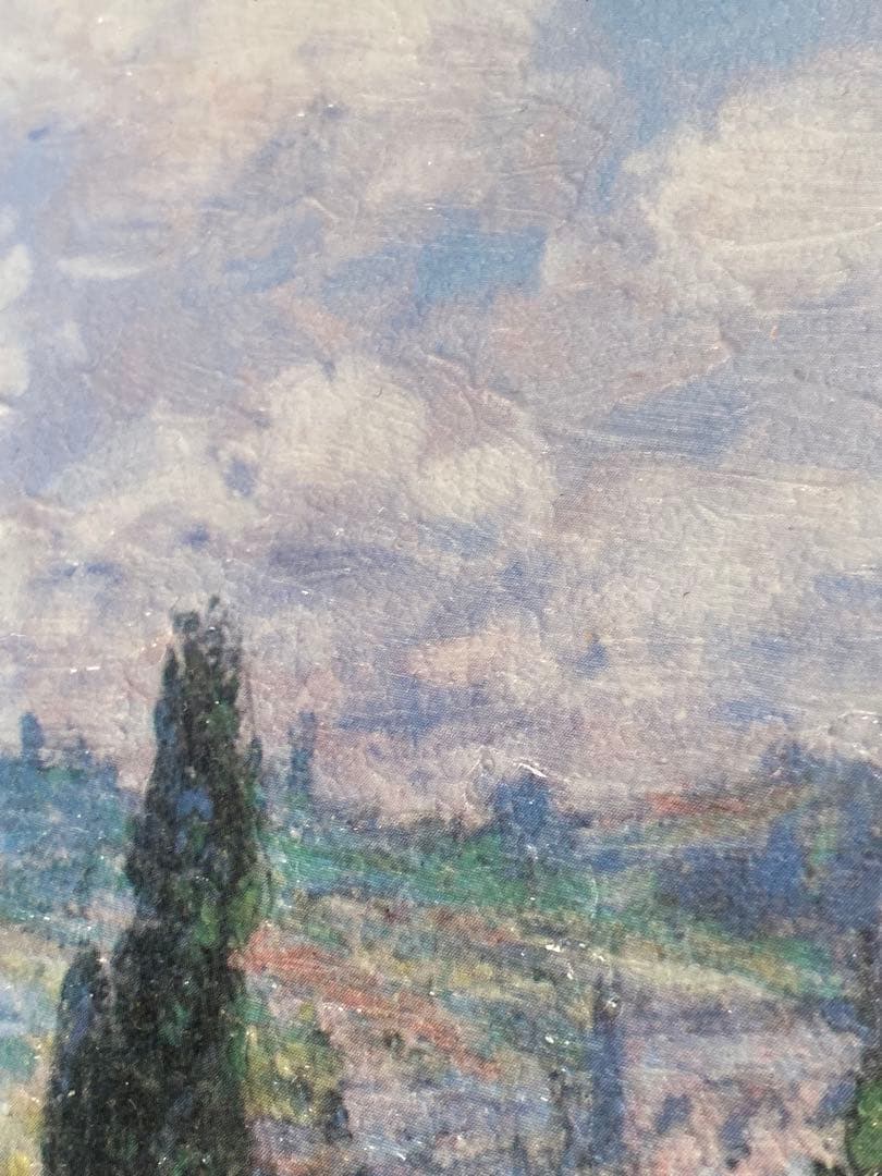 2763❣️ クロード・モネ ひなげしの小道、サン＝マルタン島