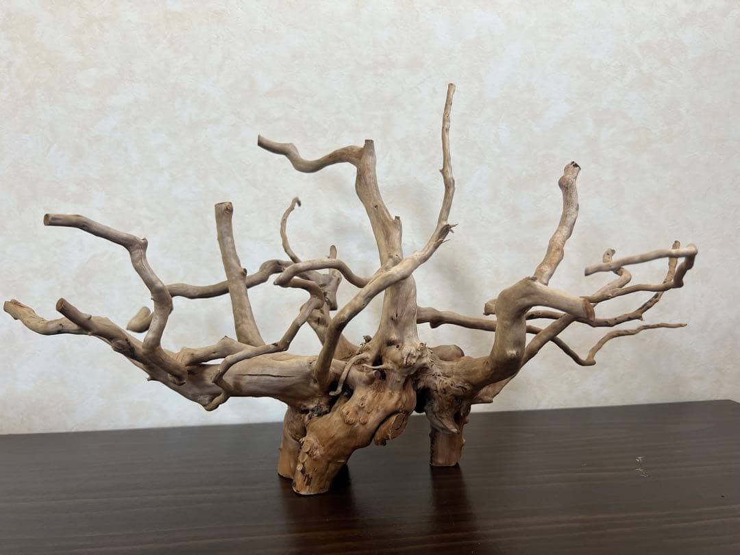 63001 ブランチウッド　流木　アクアリウム　沈水確認済