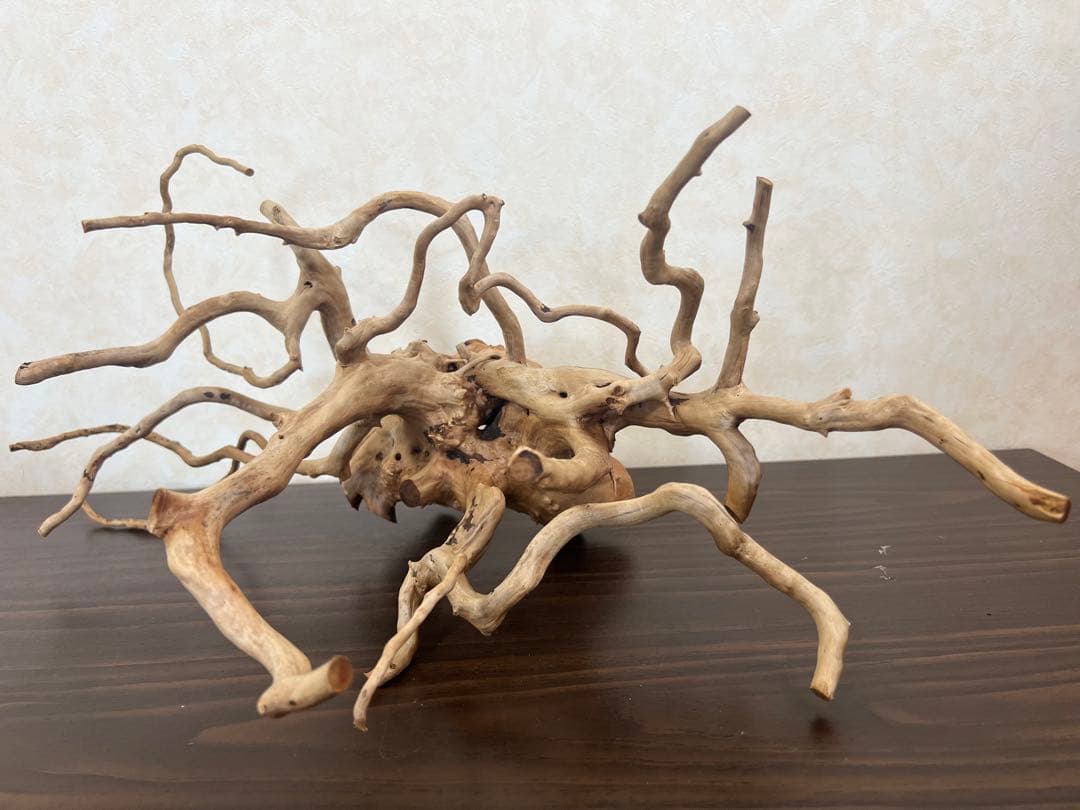 63001 ブランチウッド　流木　アクアリウム　沈水確認済