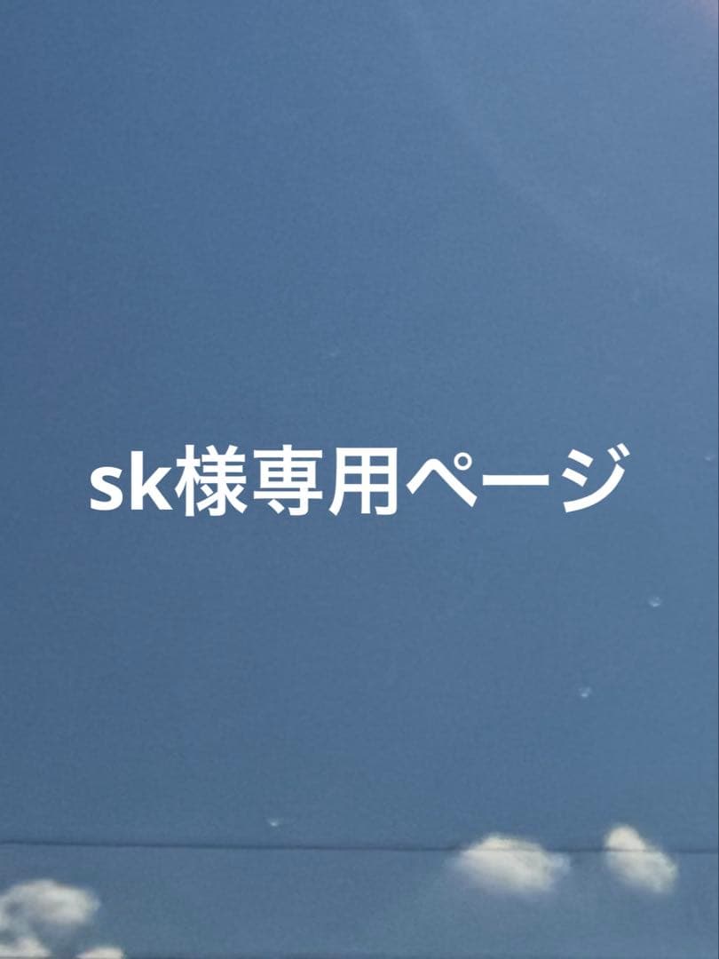 その他 sk