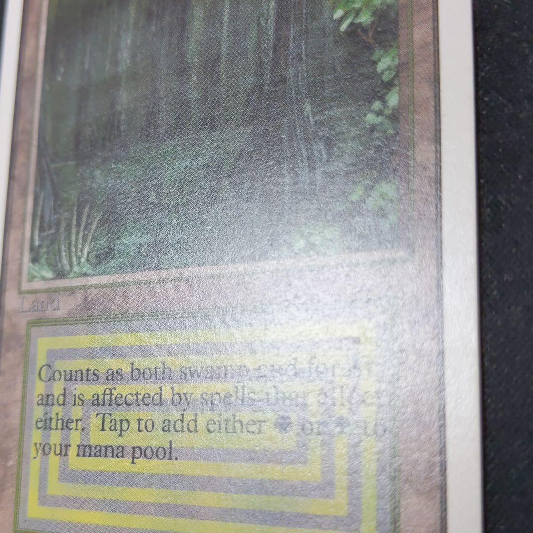 ●【擦れアリ】Bayou　２ED　英語１枚