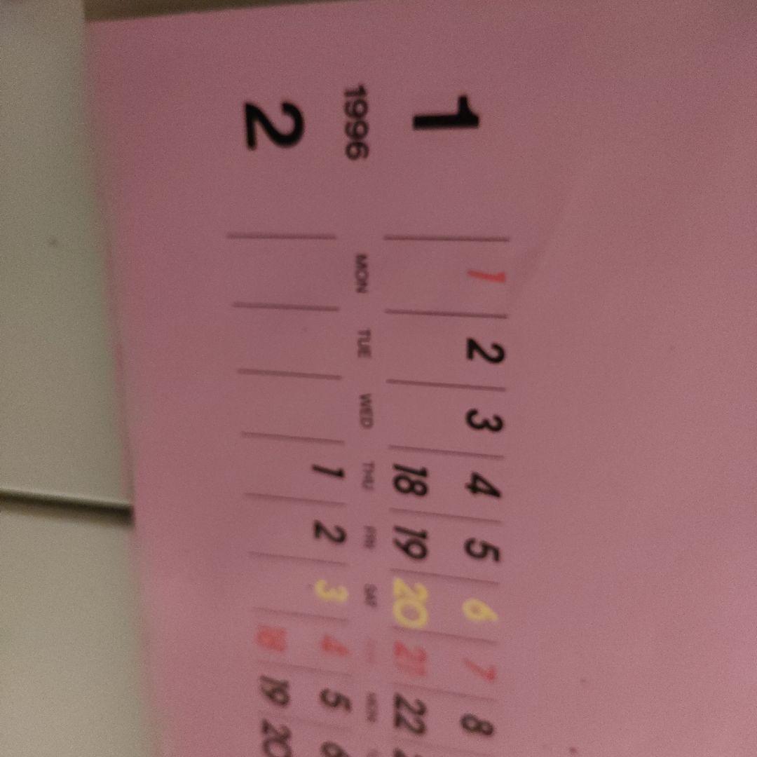 NOEVIR　ノエビア　カレンダー　1996 表紙無