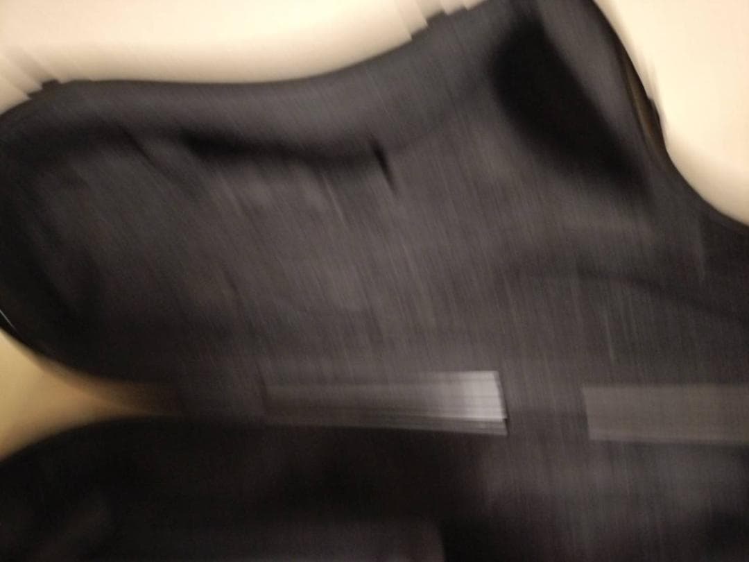 ☆セルマー　アルトサックス用 フライトケース Selmer