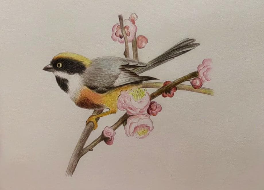 色鉛筆48色-うさこ様-12セット