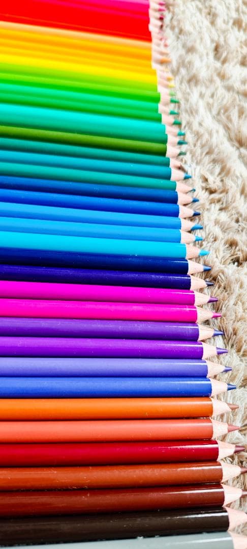 色鉛筆48色-うさこ様-12セット