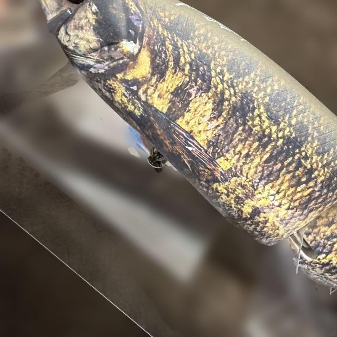 DRT タイニークラッシュ Lowモデル DRT TIGER 美品