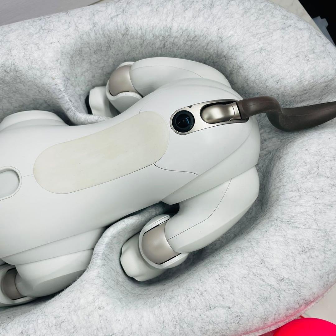 SONY aibo ERS-1000/M/S 箱付属品あり アイボーン・サイコロ
