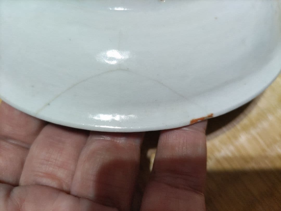 藍九谷　花唐草　皿（15.5㎝）　生掛け釉　初期伊万里　江戸前期