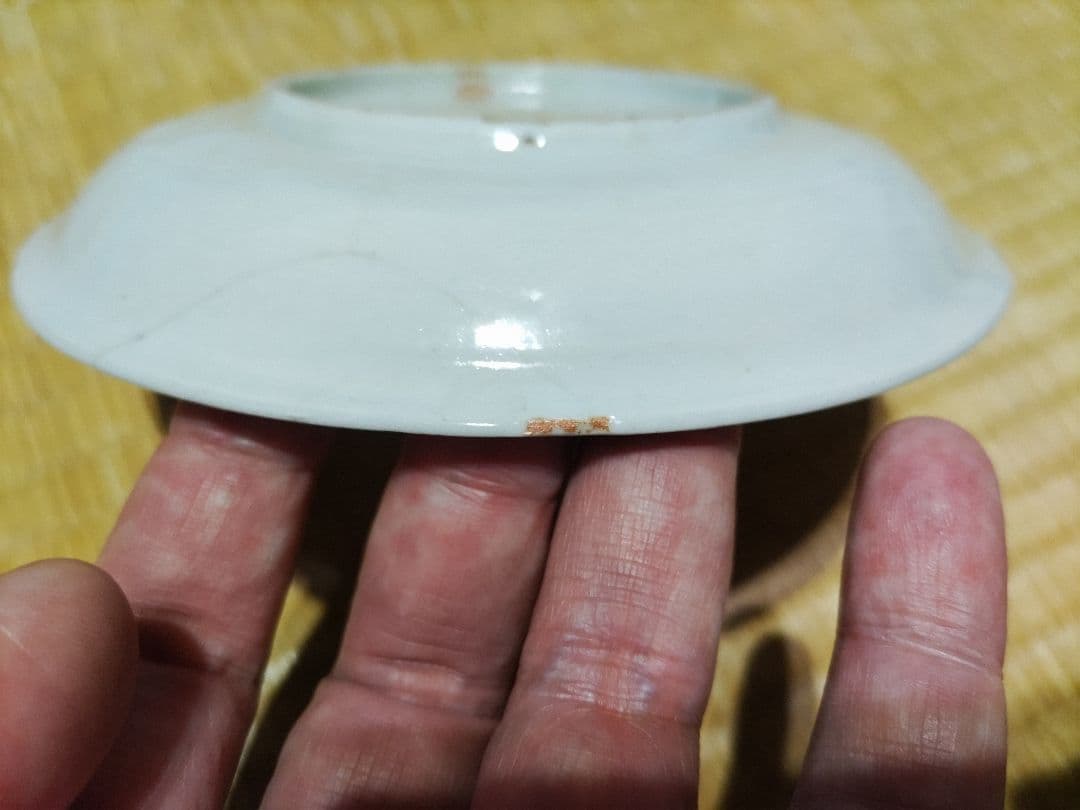 藍九谷　花唐草　皿（15.5㎝）　生掛け釉　初期伊万里　江戸前期