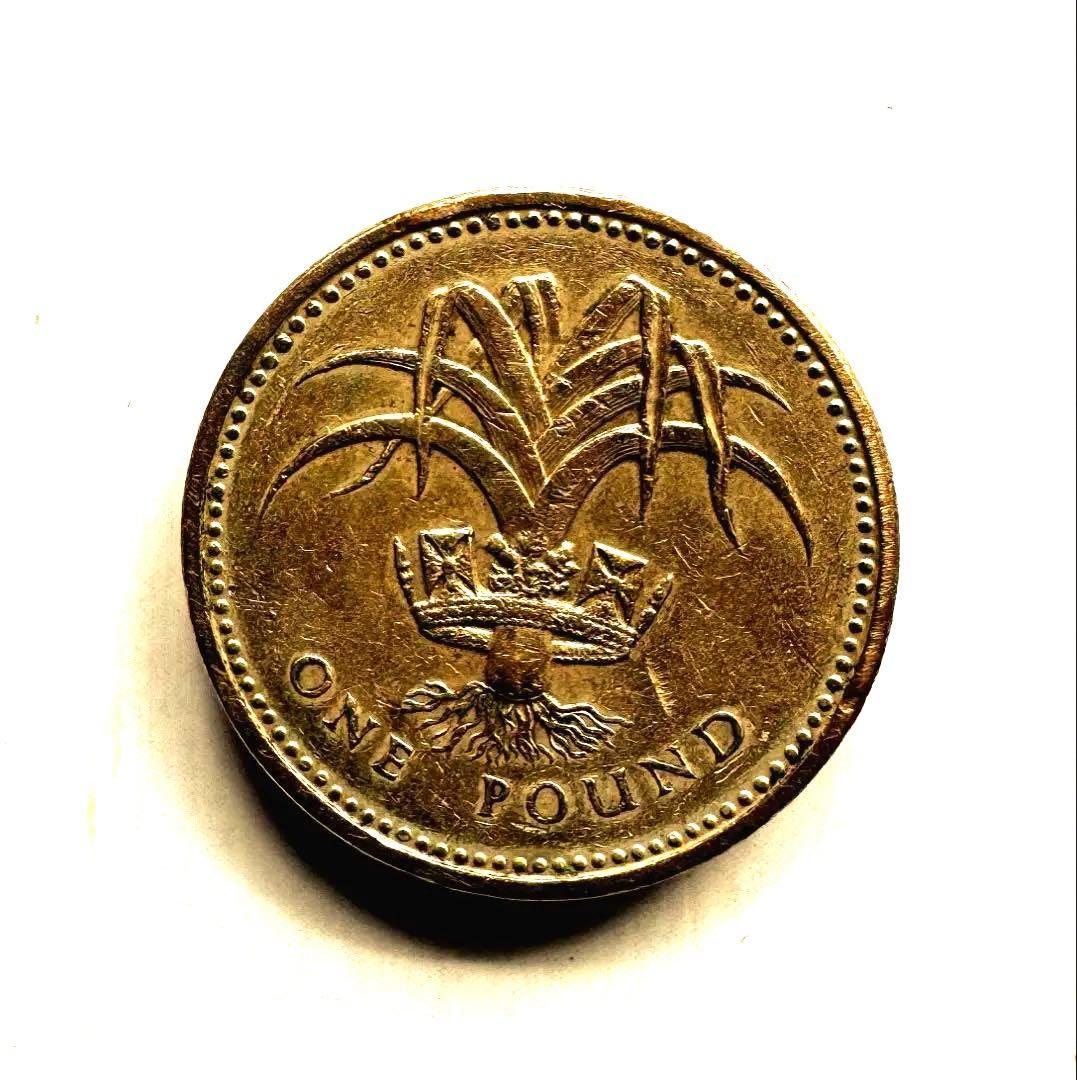 1985年　エリザベス女王　1ボンド硬貨　稀少品 特別刻印PLEIDIO Lあり