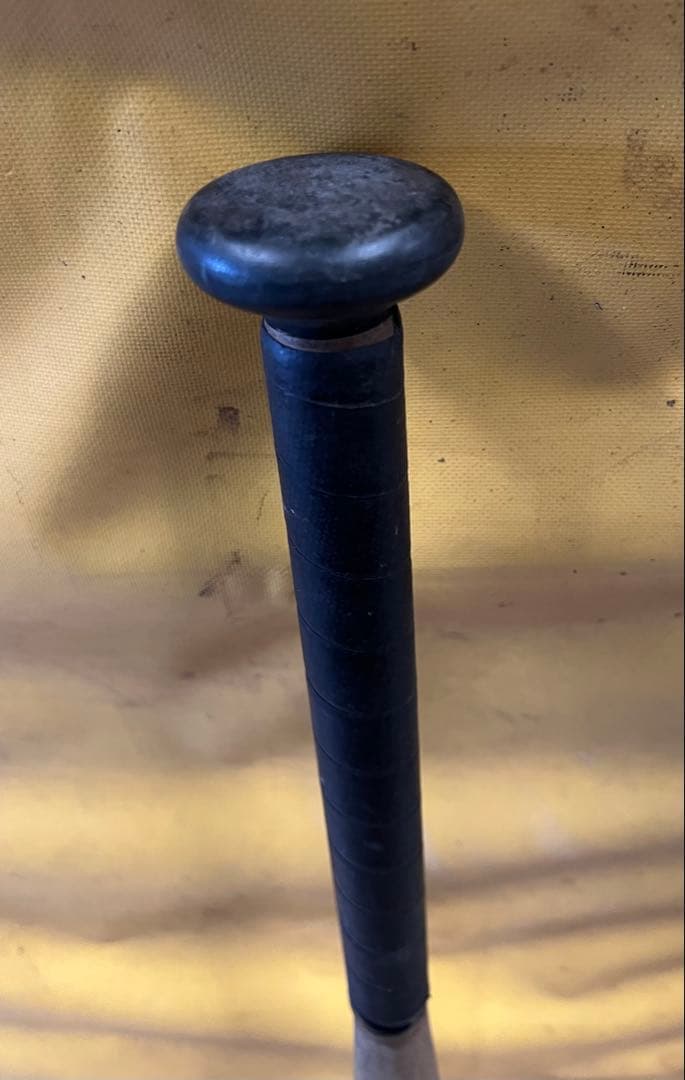 MIZUNO world Win バット