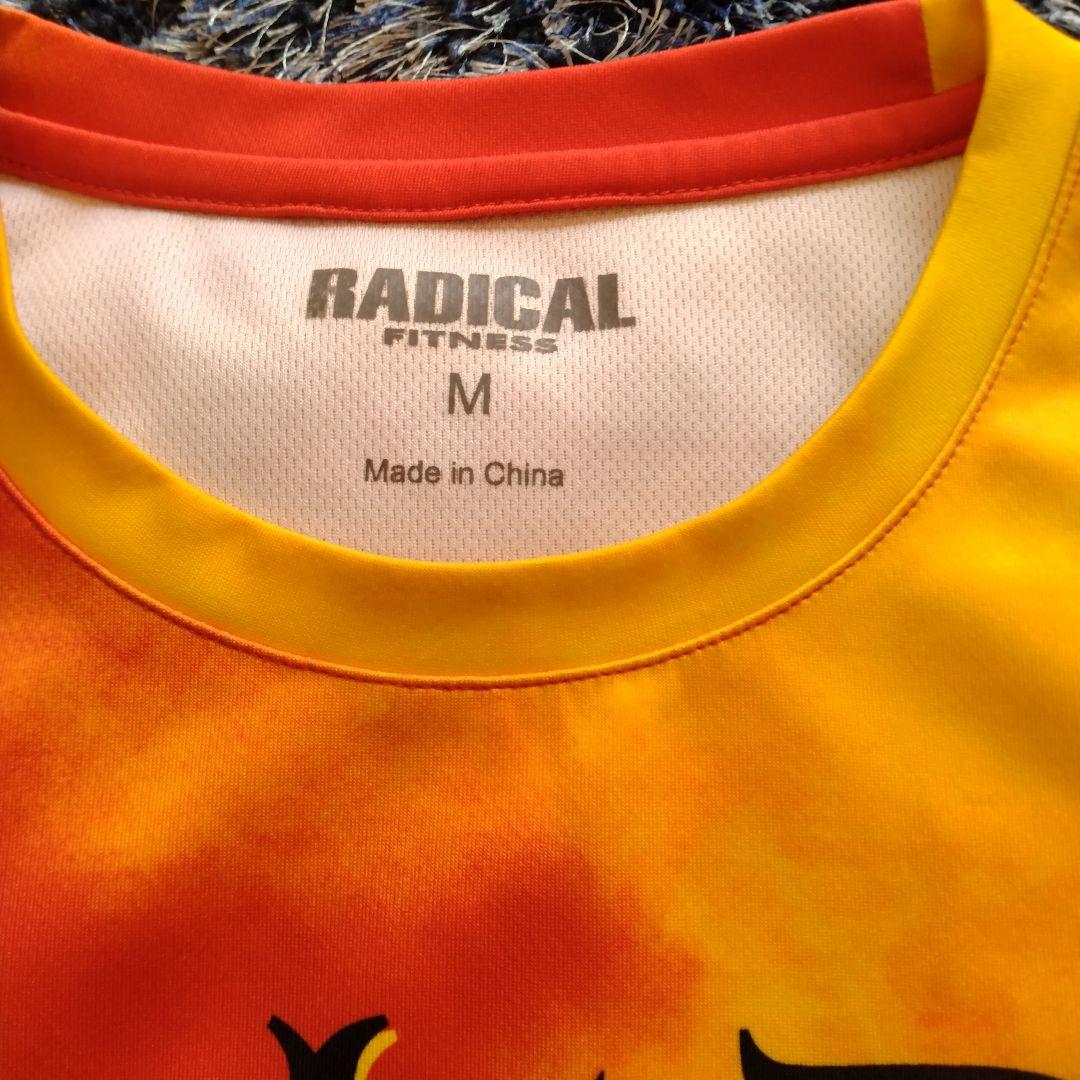 ラディカルフィットネス FESTA2024 ドラゴンウェア