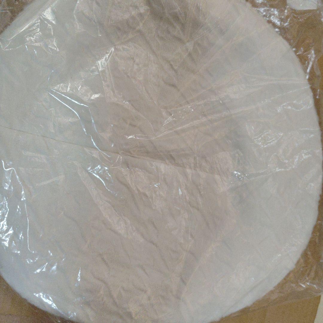 東京事変 ニュースフラッシュ特殊開発グッズ リビドー帽