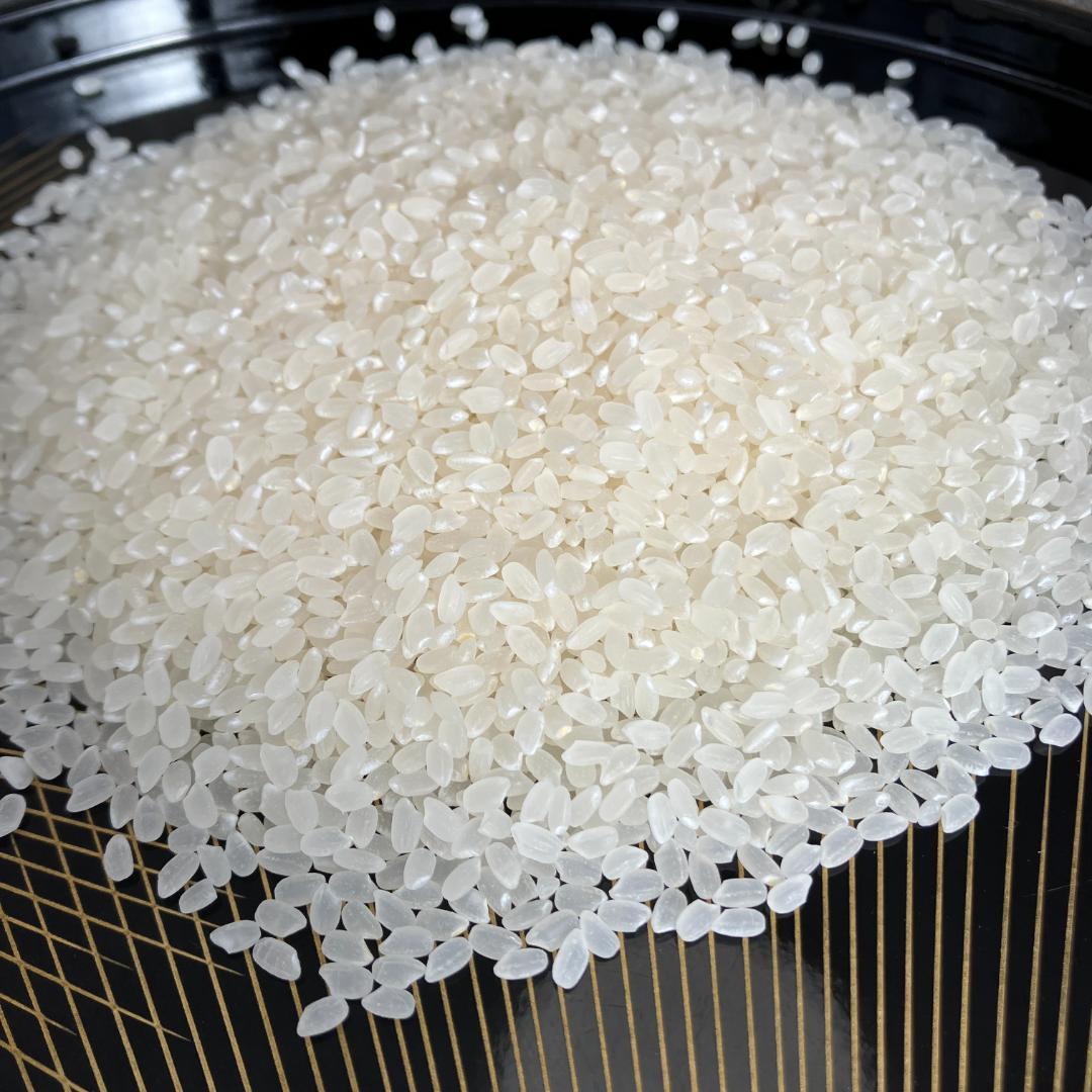 魚沼産コシヒカリ　令和7年産　白米　10キロ　米農家直送　送料無料