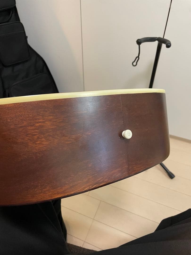 Recording King RD-A9M オール単板 ドレッドノート