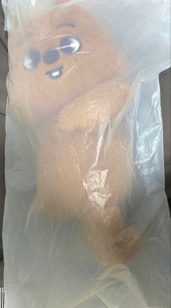 SKZOO PLUSH BAG HAN ハンクォッカ　未開封