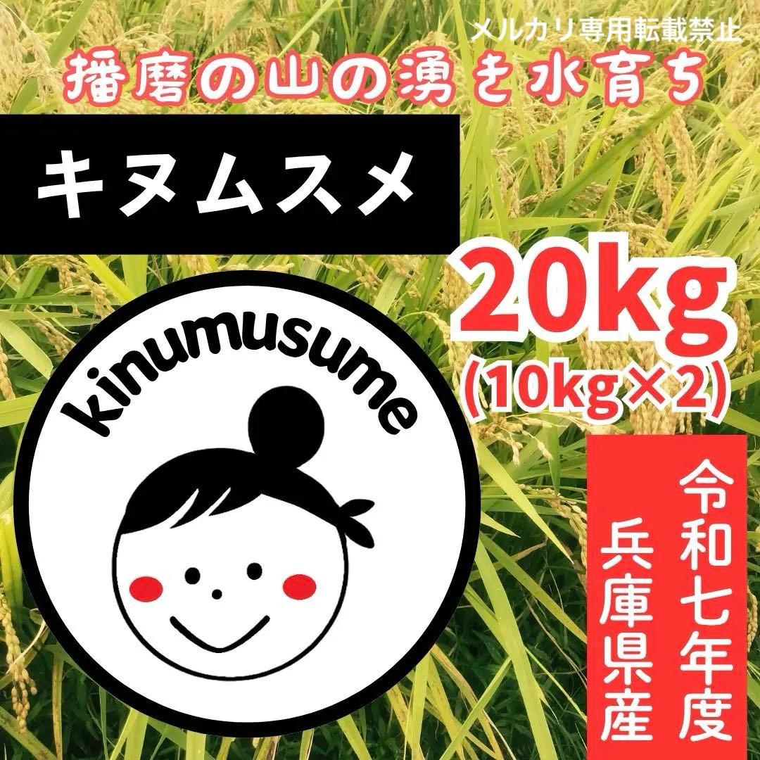 美味★新米 兵庫県産キヌムスメ 20kg(10kg×2)山の湧き水で育てたお米
