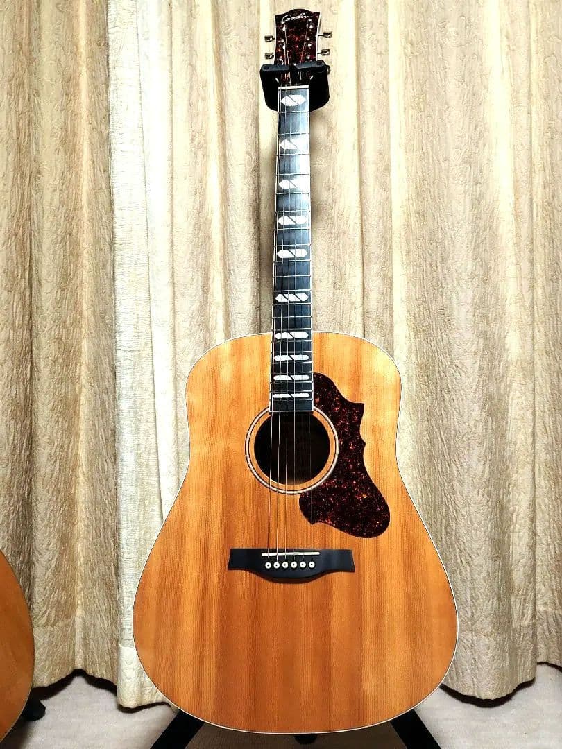 かなり美品 オール単板 ゴダン Godin エレアコ セミハードケース付