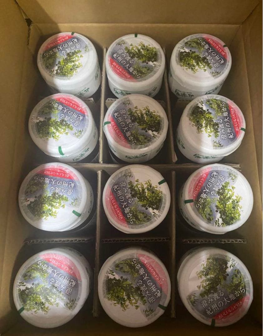 チョーヤ 梅酒 720ml 12個入り