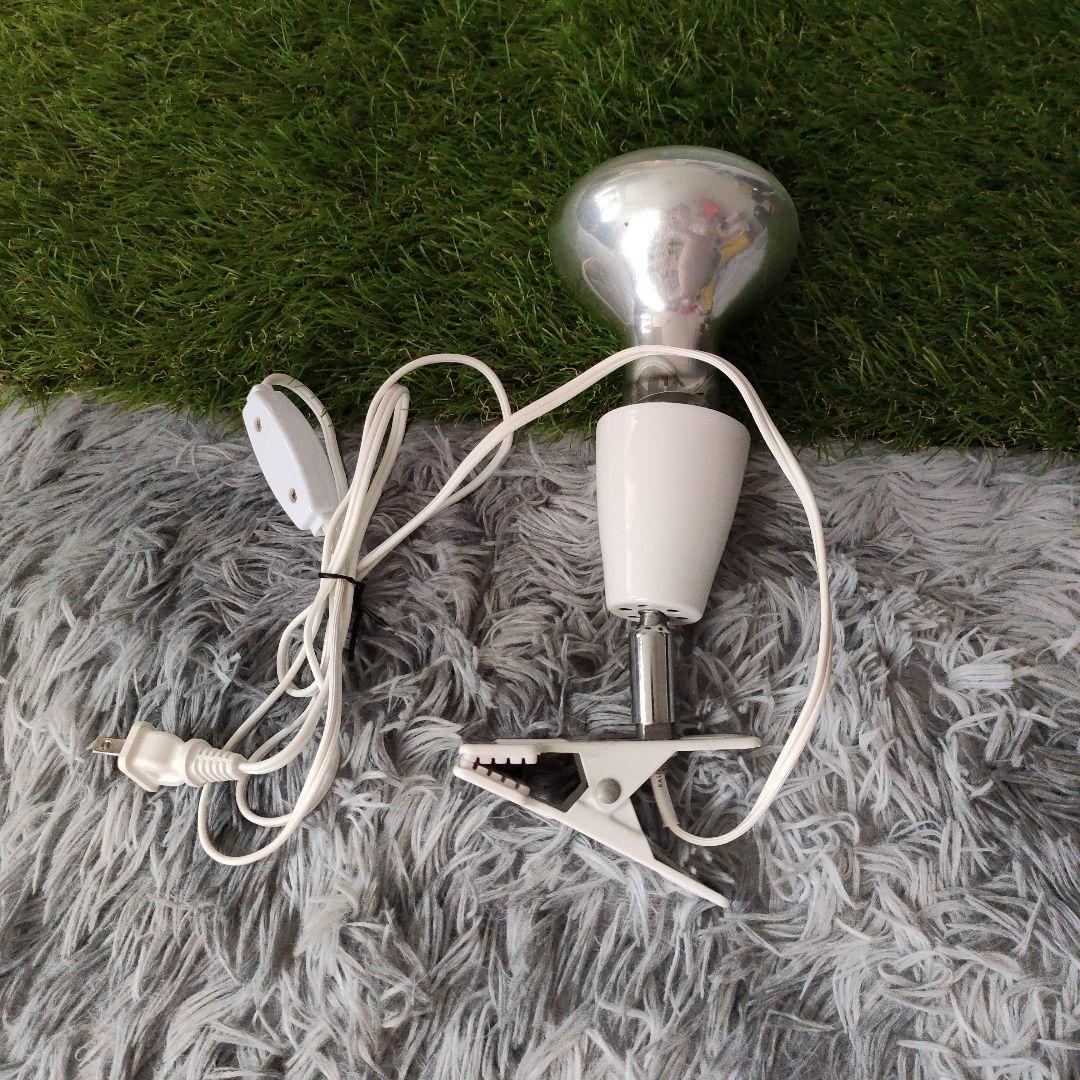 爬虫類飼育設備3点セット(飼育箱+LEDライト+保温球)