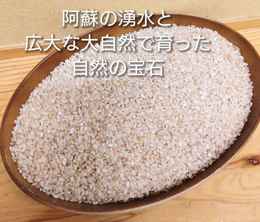 3 R7年 自然栽培米 2品種食べ比べセット10kg（5kg×2）玄米 セット