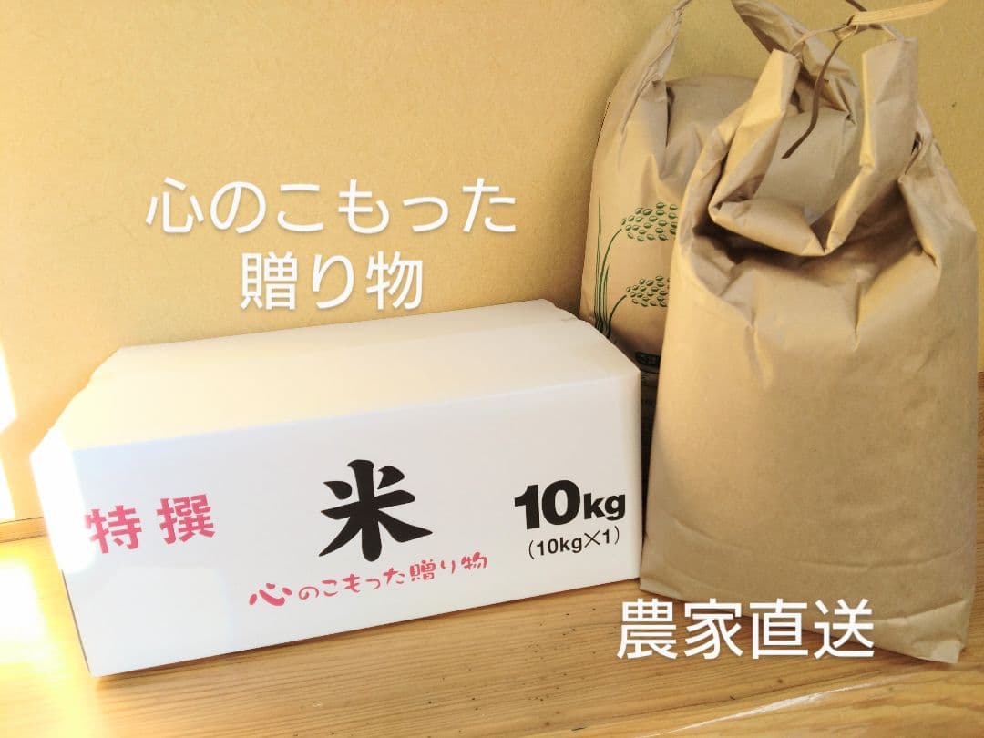 3 R7年 自然栽培米 2品種食べ比べセット10kg（5kg×2）玄米 セット