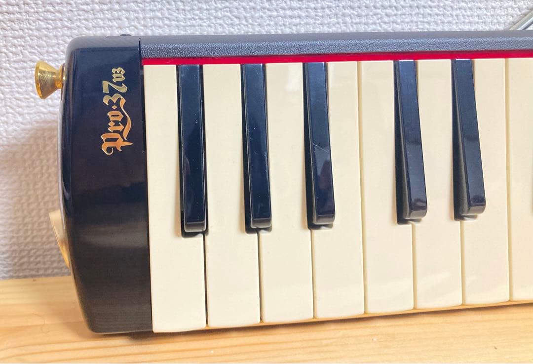 ☆ 超美品！！ SUZUKI PRO-37 V3 メロディオン 鍵盤ハーモニカ