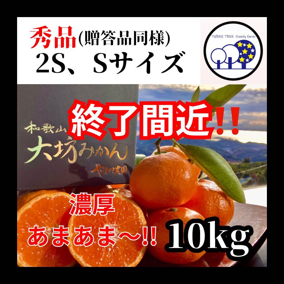 ①温州みかん 樹熟大坊みかん 秀品(贈答品同様)2S、S混合10kg
