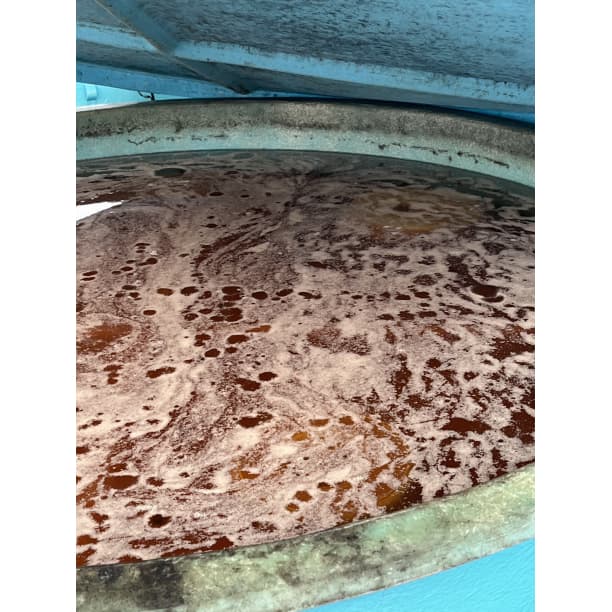 農家直送！紀州南高梅 樽 10kg つぶれ梅 無添加 和歌山 紀州 白梅